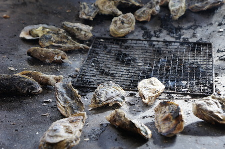 Oysterの写真素材