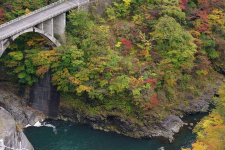 Autumn leaves of Lake Okutamaの写真素材