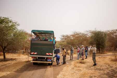 Car incident. Tire problem with Jeep Safari. People staying around. Wild life in Safari. Baobab and bush jungles in Senegal, Africa.のeditorial素材