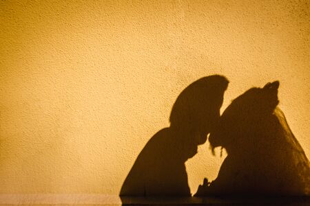 Wedding couple kissing. Shadow. Silhouettes on yellow wall.