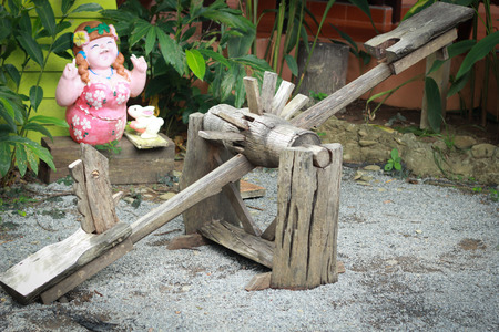 downed treesの写真素材