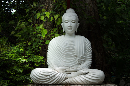 white buddha image sitting under the tree for meditation.の写真素材