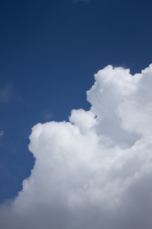 The white clouds are growing among blue sky.の写真素材
