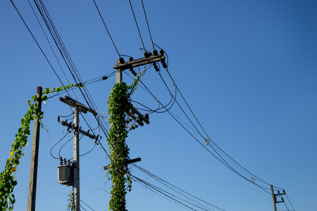 Electric wire isolated from blue sky background.の写真素材