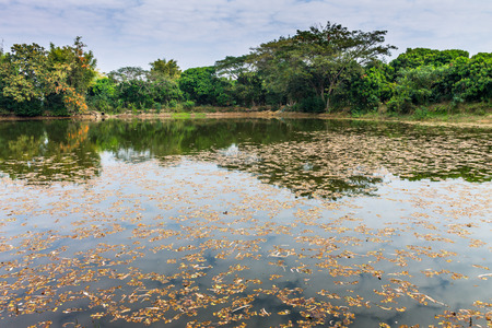 Lampoon, Thailand. February, 17-2017: The available quantity of water has been reserved at the community pond as the reasons of needing for agricultural purposes in remote districts.の写真素材
