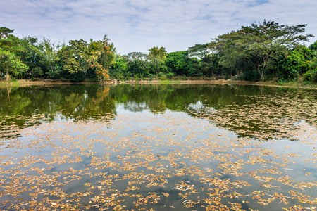 Lampoon, Thailand. February, 17-2017: The available quantity of water has been reserved at the community pond as the reasons of needing for agricultural purposes in remote districts.の写真素材