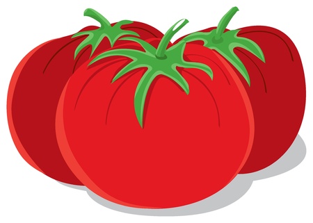 Tomatoesのイラスト素材