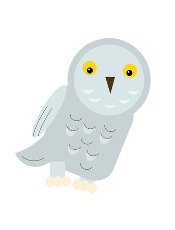 cartoon scene with flying bird penguin isolated on white background illustration for childrenの写真素材