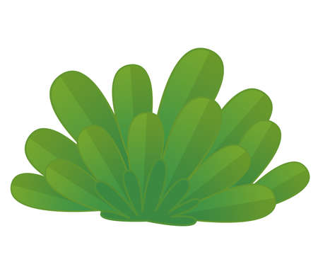 Cartoon scene with plant green leaf on white background illustration for the childrenの写真素材