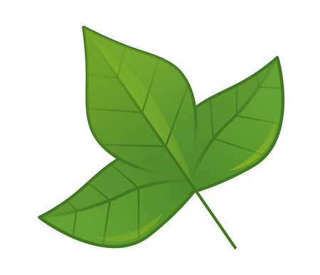 Cartoon scene with plant green leaf on white background illustration for the childrenの写真素材