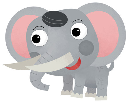 Cartoon wild animal happy young elephant isolated illustration for childrenの写真素材