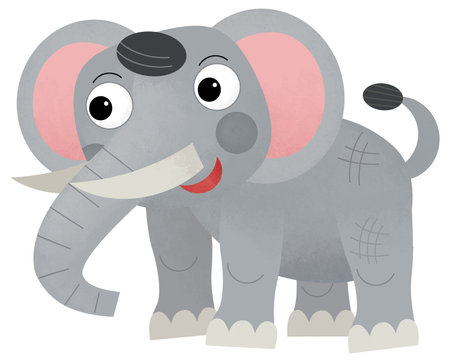 Cartoon wild animal happy young elephant isolated illustration for childrenの写真素材