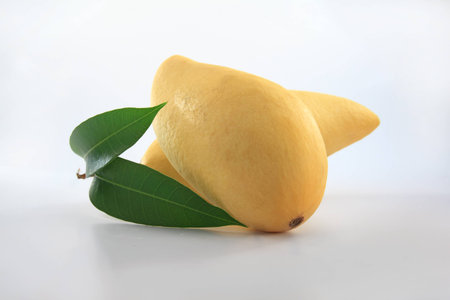 Two mature mangoes with leaf on the side view with mood lightingの写真素材