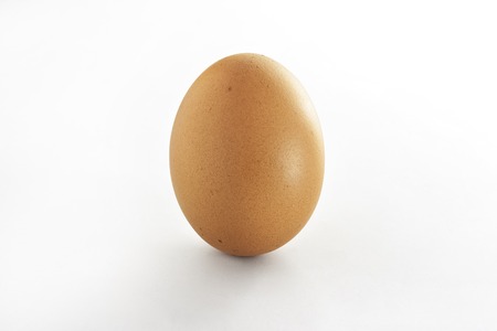 Egg on clean white backgroundの写真素材