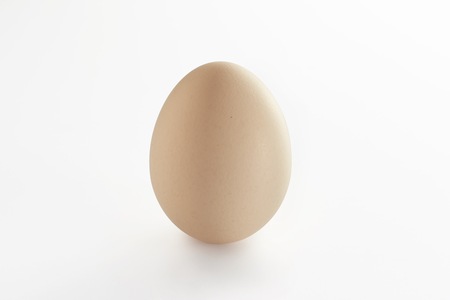 Egg on clean white backgroundの写真素材