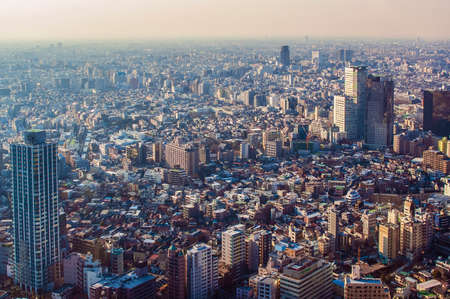 Japan Tokyo 2006: Aerial view of Tokyo city