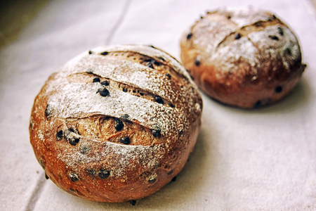 rustic Italian bread with raisin