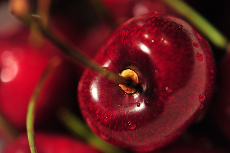 Red Cherriesの写真素材