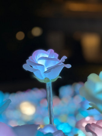 Romantic Beautiful Neon Rose in Dark Backgound.の写真素材