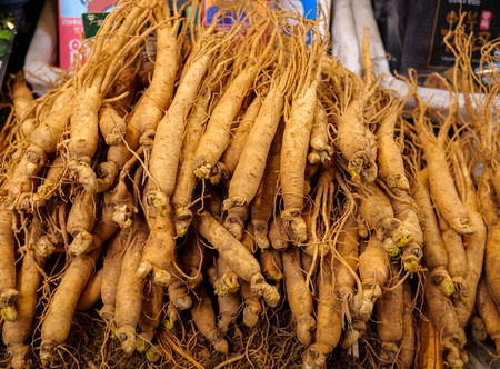 Korean gingerの写真素材