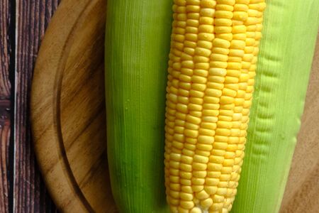 Fresh corn from the farm on the groundの写真素材