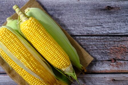 Fresh corn from the farm on the wooden floor