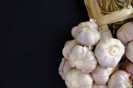 Garlic on the black groundの写真素材