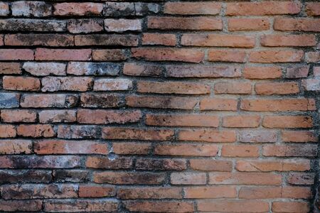 The old wall on the road in Ayutthaya.の写真素材