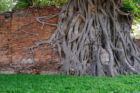 The old wall is a historic site in Ayutthaya.の写真素材