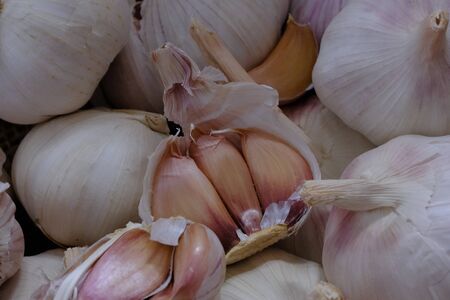 White garlic in the kitchen for cookingの写真素材