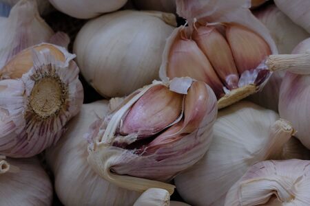 White garlic in the kitchen for cookingの写真素材