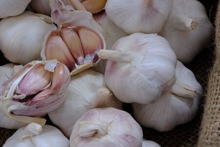 White garlic in the kitchen for cookingの写真素材