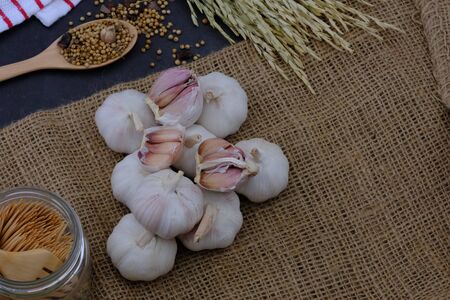 White garlic in the kitchen for cookingの写真素材