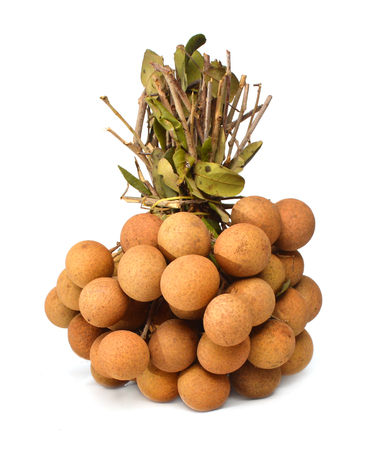 longan. fresh longan on the backgroundの写真素材