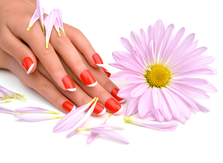 Woman hands with french manicure and flower on white backgroundの写真素材