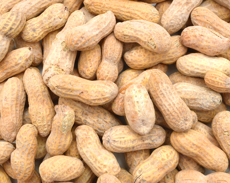 close-up of some peanuts. backgroundの写真素材