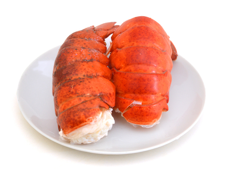 Fresh cooked lobster tails on a white plateの写真素材