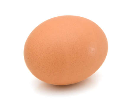 Brown egg on white background