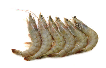 Raw shrimp isolated on white backgroundの写真素材