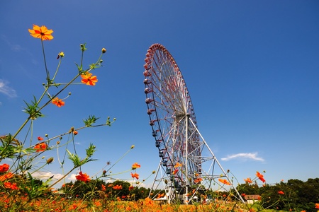 Swingの写真素材