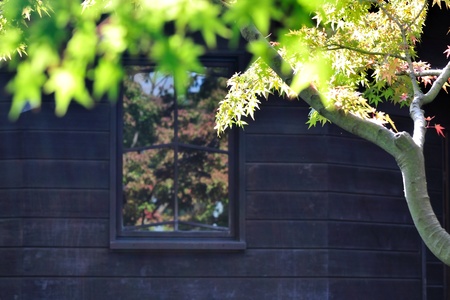 windowの写真素材