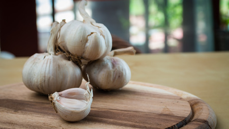 garlic lobes, seasoning herb and spicy, had been placed on the brown wooden plate.の写真素材