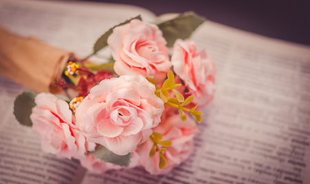 Artificial roses place on unfocused book- select focus and pink color effectの写真素材