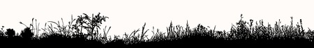 Great horisontally seamless vector background with a silhouette of grass or clump or undergrowthのイラスト素材