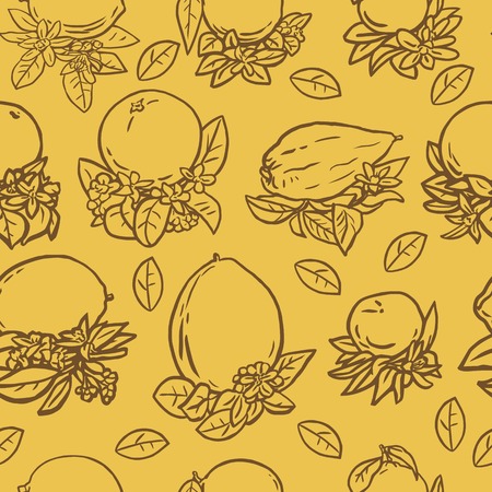 Seamless vector illustration of various citrus fruits with tropical flowers and leavesのイラスト素材