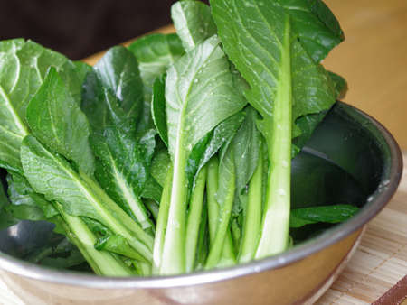 Komatsuna in a bowlの写真素材