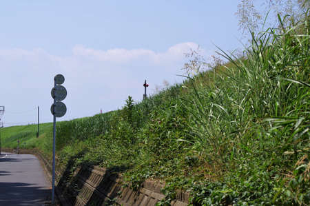 Scenery of the bankの写真素材