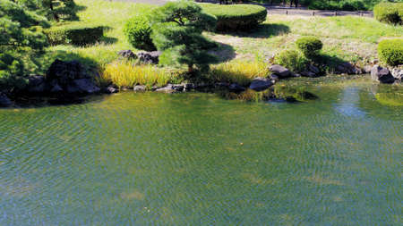 Scenery in a park with a pondの写真素材