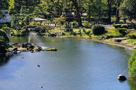 Scenery in a park with a pondの写真素材