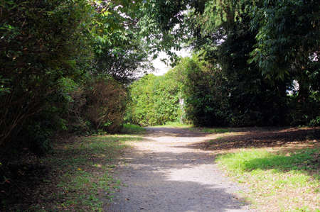 Promenade in the park